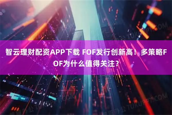 智云理财配资APP下载 FOF发行创新高！多策略FOF为什么值得关注？